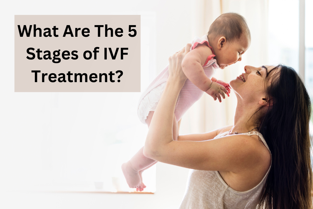What are the 5 stages of ivf treatment?