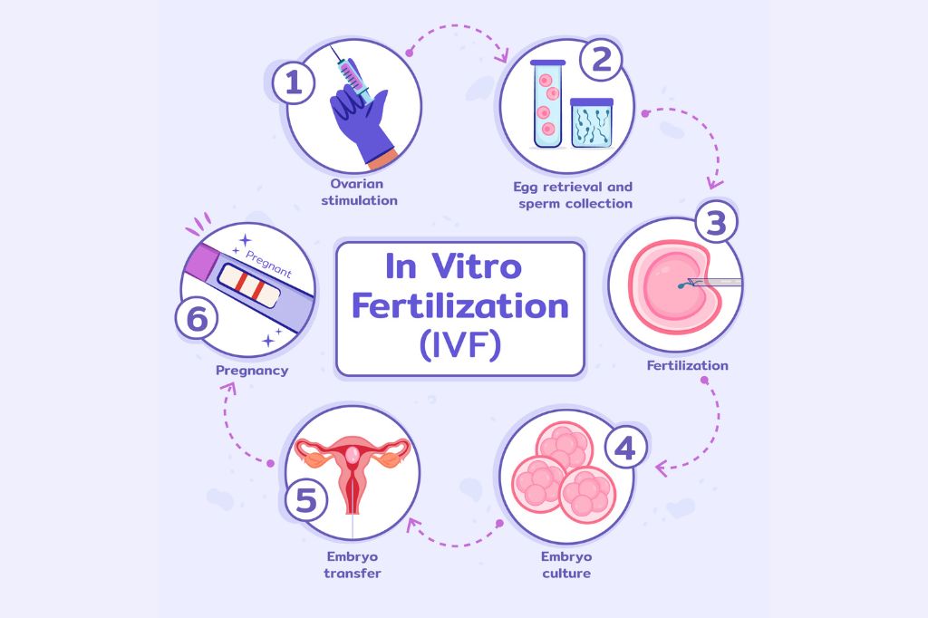 Some Interesting Facts About Fertility