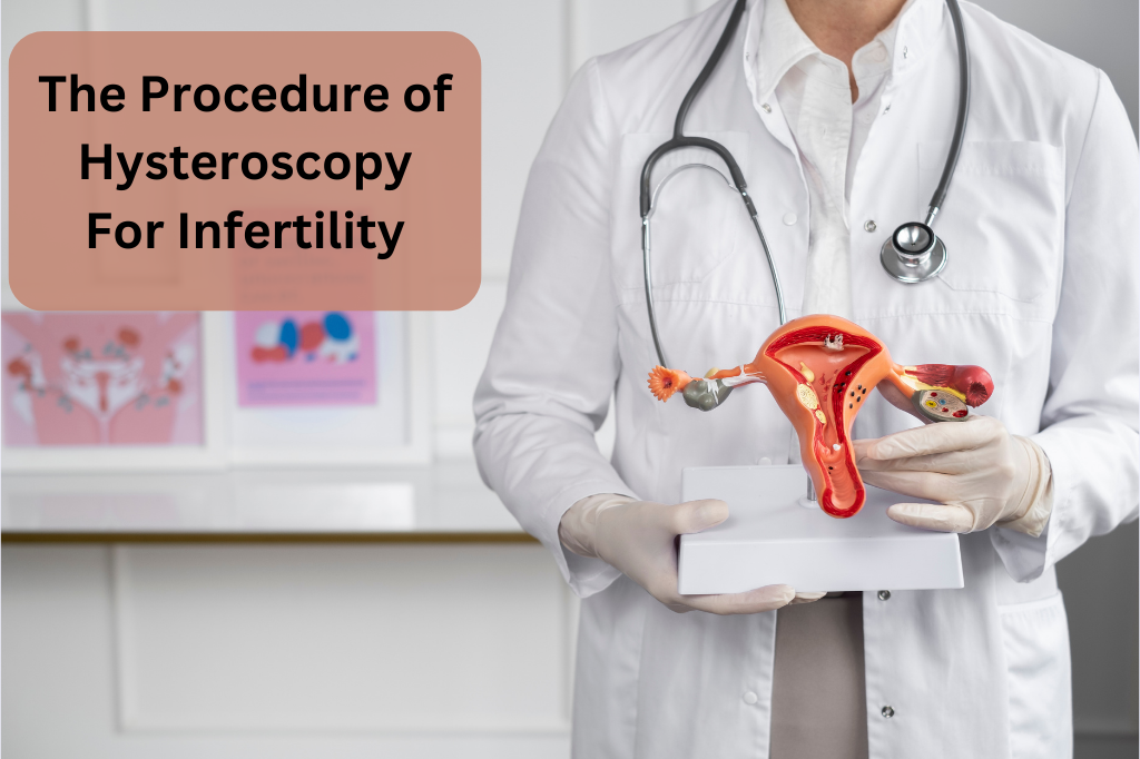 The Procedure of Hysteroscopy For Infertility